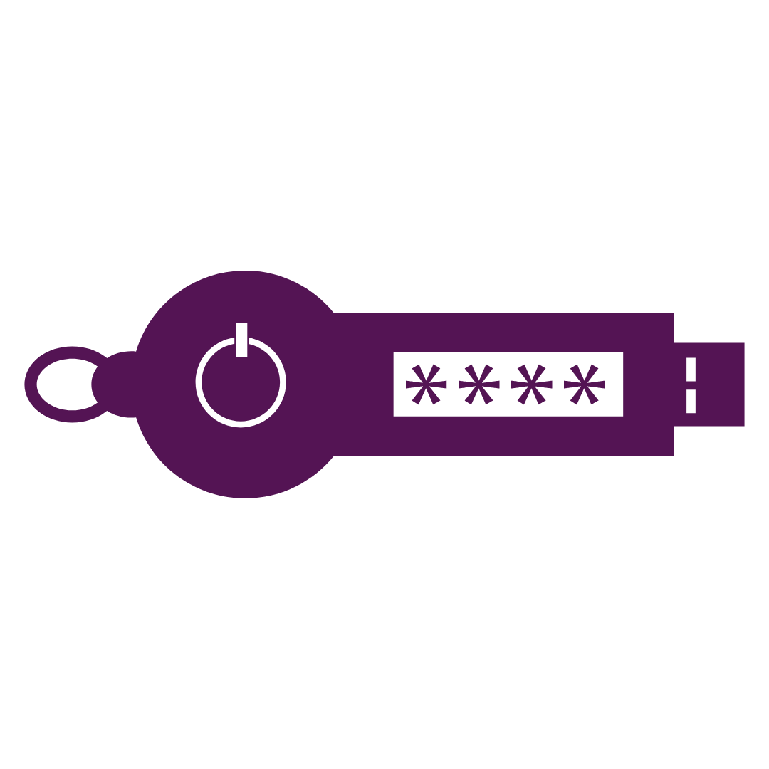 Protect Your Data from Theft and Distortion