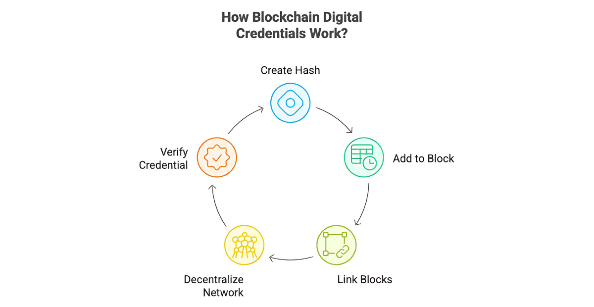 Image showing how Blockchain Digital Credentials Work
