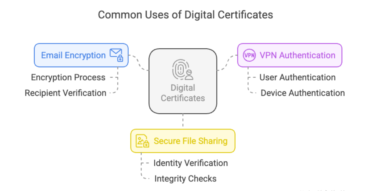 Infographic illustrating various applications of digital certificates, such as encryption and digital signatures