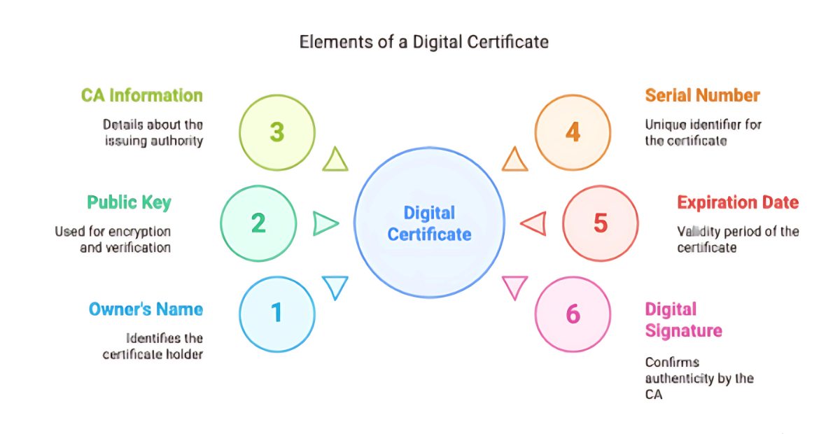 Visual representation of digital certificate elements, including issuer, subject, validity dates, and signature